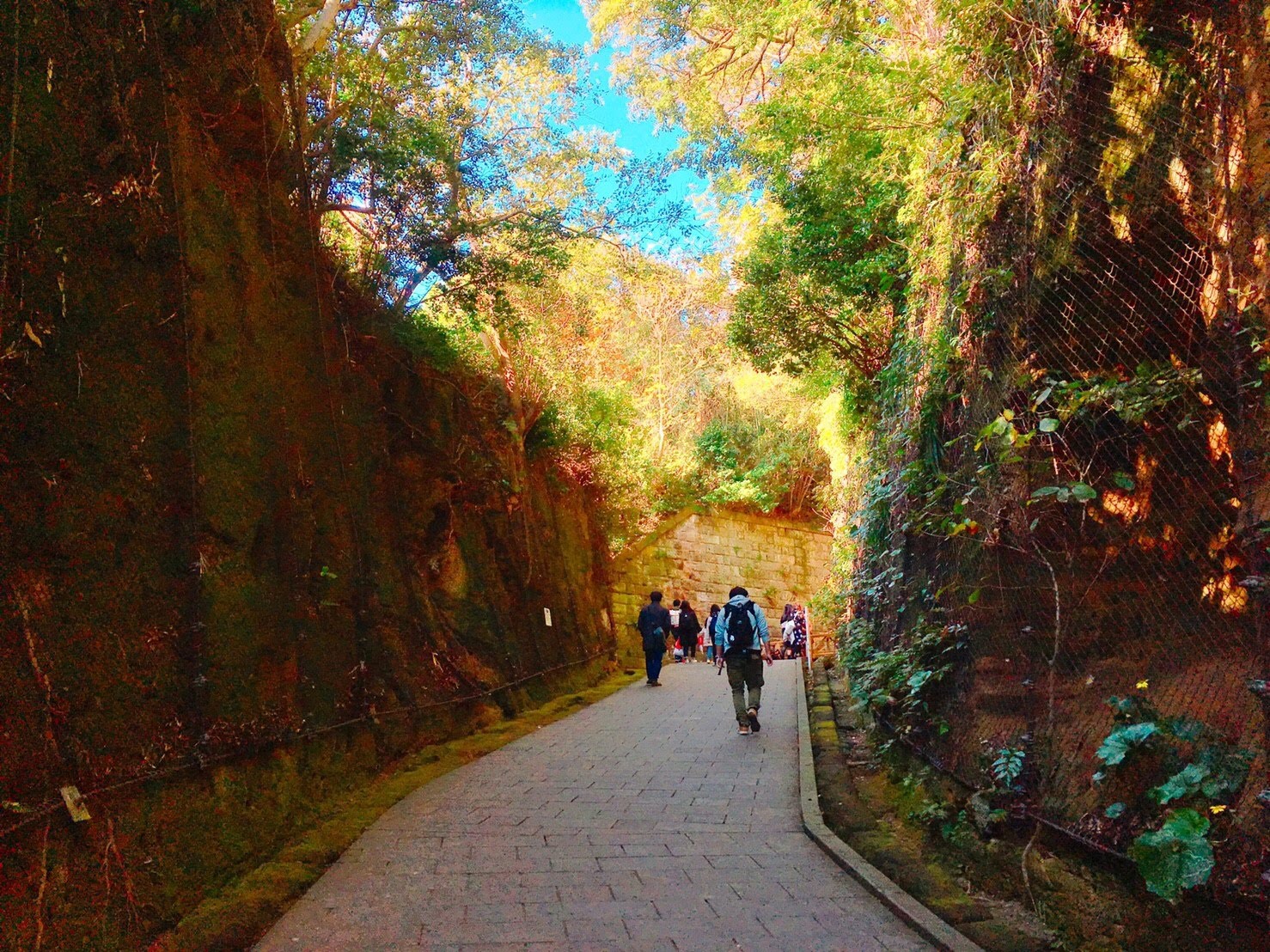 江ノ島 猿島 神奈川の旅 みかどの徒然日記 時々じょてい